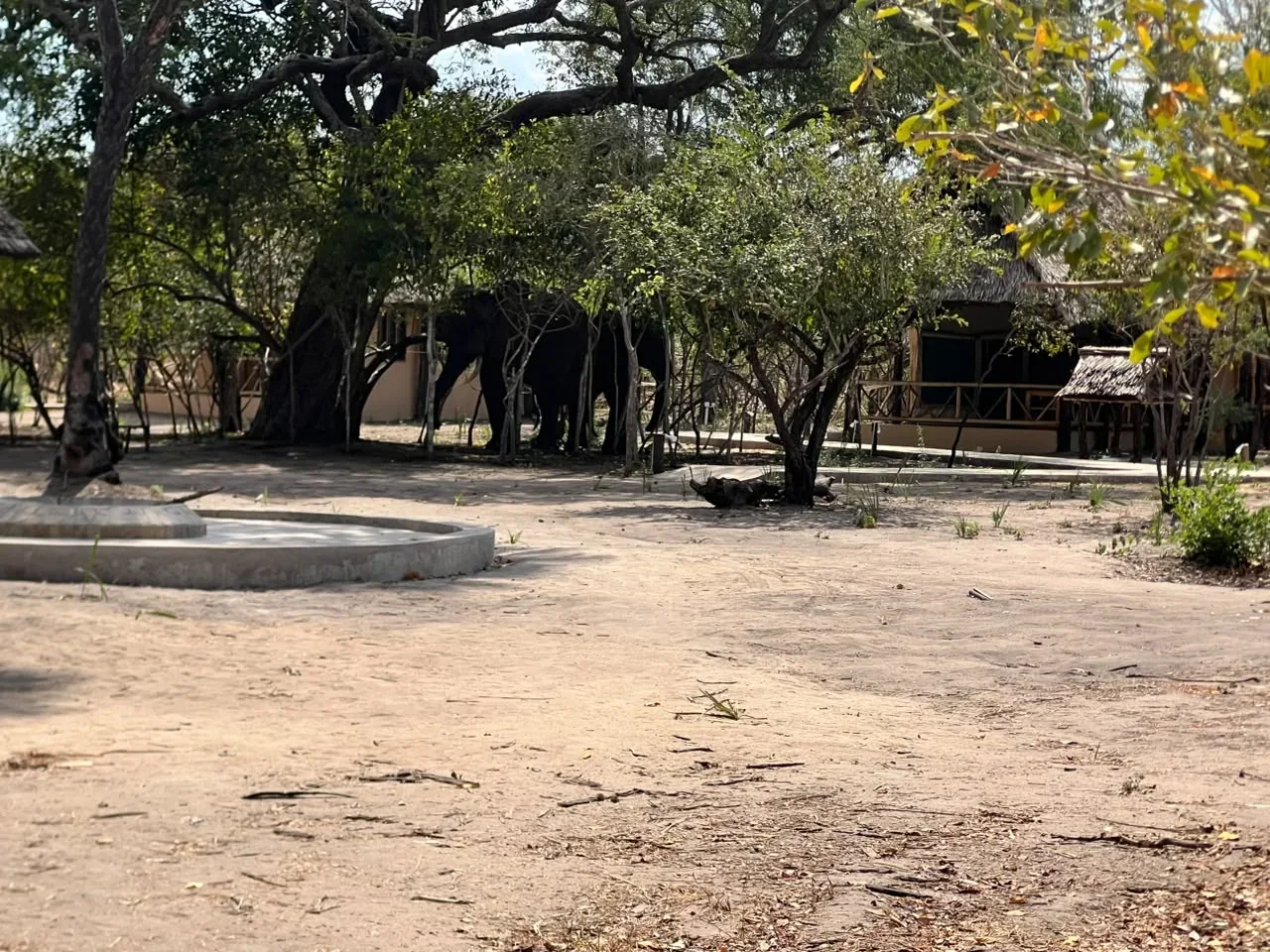 A gateway to safari