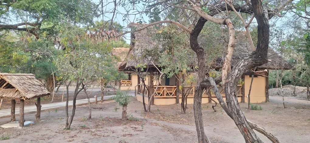 Quiet bush mornings
