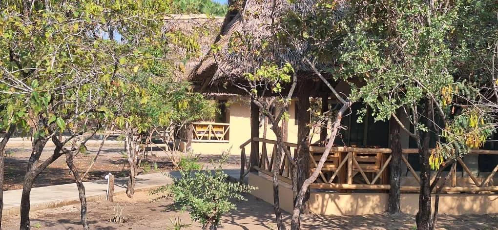Safari Cottage Exterior 03